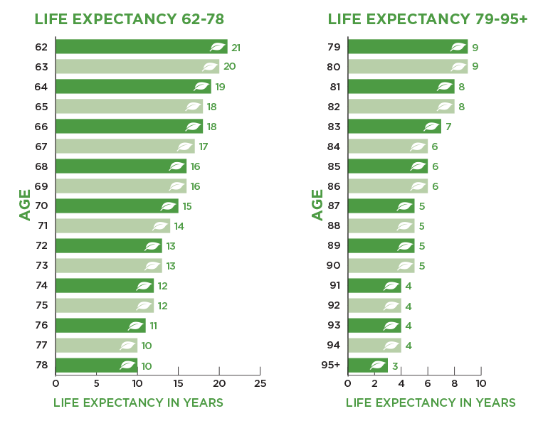 Life expectancy chart